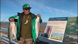 12/30/24 Update at HWY37 Wetlands Cullinan Ranch. Last day fishing for 2024.