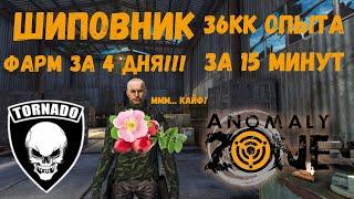 Anomaly Zone - Шиповник (прокачка за 15 минут)