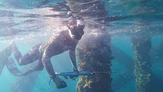 Spearfishing BIG Fish CATCH and COOK (Cobia and Snapper) || Gulf of Mexico 2019