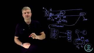 SmartБиохимия - Марафон - День 1. Аденилатциклазная система