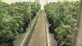 3 Northeast Ohio locations receive approval to begin growing, processing recreational marijuana