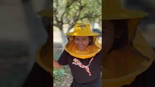 Bee keeper | Vaaradhifarms.com