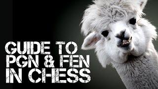 Guide to PGN and FEN in Chess