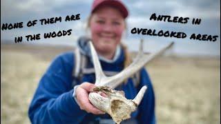 Deer Antlers Are Not In The Woods! | Iowa Shed Hunting