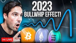 WTF Is The Bullwhip Effect? | What It Means For Crypto In 2023!