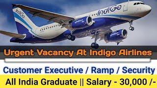 Indigo Airlines Recruitment 2021 || Any Graduation || All India Apply || #IndigoAirlines