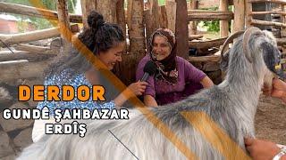 DERDOR - GUNDÊ ŞARBAZAR / ERDÎŞ