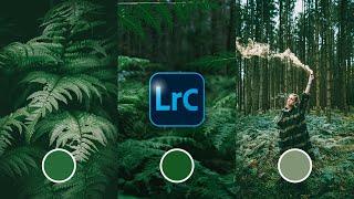 How to Create a MUTED GREEN Look In Your Photos Using Lightroom