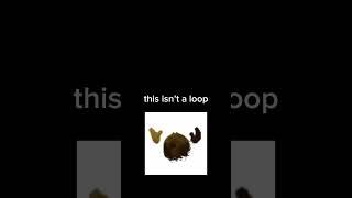 this isn’t a loop #loop #channel #memes