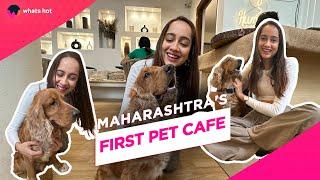 Visiting Maharashtra’s First Pet Cafe  | The Pet Cafe Pune