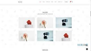 Seline - Creative Photography and Portfolio WordPress Theme     Seth