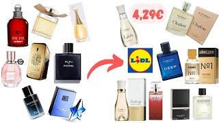 PARFUMS LIDL DUPES DES PARFUMS DE LUXE 