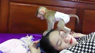 0hhGod!! Little Zuji Try Disturb Mom Sleeping To Wake Up Playing With Her | Zuji Only Play