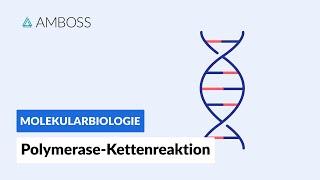 Polymerase-Kettenreaktion (PCR) - Biochemie - Labormethoden  - AMBOSS Video