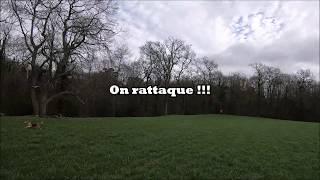 Chasse aux sangliers !! Ma plus belle vidéo !!!  2020