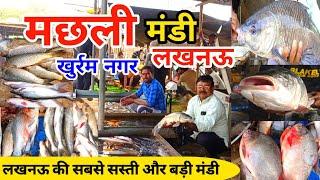 Lucknow Fish Market |Khurram Nagar Fish Market |Lucknow Machli mandi |Lucknow Fish Mandi