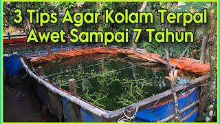 Cara Agar Kolam Terpal Bisa Awet | Bisa Tahan 5-7 Tahun!