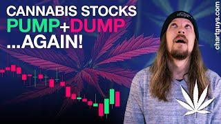 Cannabis Stocks Pump and Dump Debate