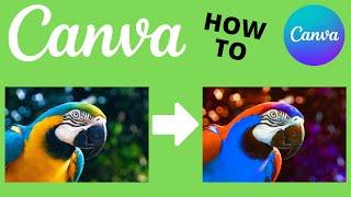 How To Change The Color Of An Image On Canva | Canva Tutorial