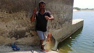 Fish hunting||Traditional Fishing, Catching Tilapia fish