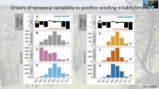 Spatiotemporal drivers of postfire conifer establishment and growth in a managed postfire landscape