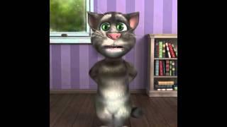 Talking Tom ninja