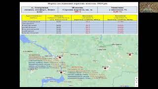 Запорожье вторичный рынок недвижимости, октябрь 2024.Погода недвижимости, с Андреем Гусельниковым