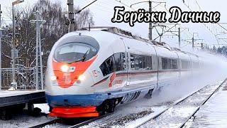 RUSSIAN TRAINS AT SPEED. Fast trains at Berezki Dachnye