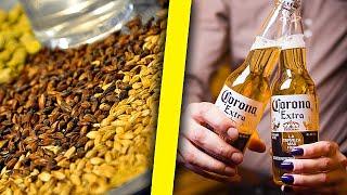  How CORONA Extra Beer is MADE  How Beer is MADE