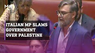 Italian MP slams government and prime minister over Palestine vote