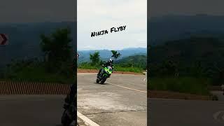 Ninja Flyby