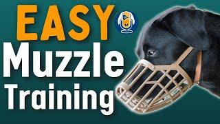 Dog Muzzles: Everything You Need To Know And How To Muzzle Train Dogs #153 #podcast