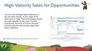 Sales: High Velocity Sales for Opportunities