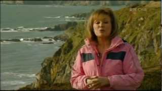 Tankardstown Copper mine on the Copper coast of Ireland