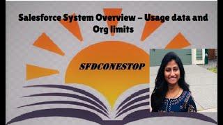Salesforce System Overview