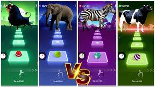 Funny FerdinandFunny ElephantFunny ZebraFunny Cow DanceWho is best?#coffindance #tileshop