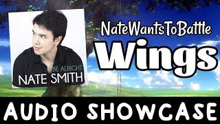 NateWantsToBattle - Wings