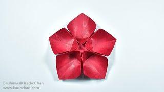 香港回歸25周年記念創作 - 摺紙紫荊花定格動畫 Bauhinia Origami Stop Motion (Kade Chan)