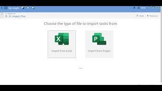 Import Task Custom Fields via Excel Import