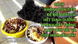 Cách không tốn tiền để biến đất cũ hết dinh dưỡng thành đất giàu dinh dưỡng