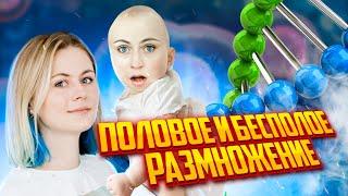 Половое и бесполое размножение! Изменчивость | ЕГЭ по биологии | Летняя школа |100балльный репетитор