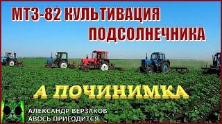 Началось в колхозе утро 8/5-й выпуск 2022г. МТЗ-82 на культивации подсолнечника.