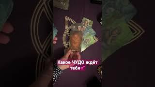 Какое чудо ждёт тебя/ Таро / Тиана таро