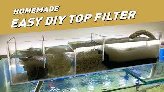 Home How to Make a DIY Aquarium Filter at Home: Step-by-Step Tutorial
