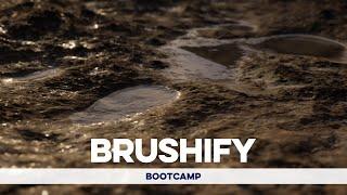 Brushify: Bootcamp -  Enabling Nanite (Landscape Displacement, Static Meshes & Foliage)