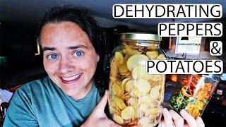 Dehydrating Peppers and Potatoes | Every Bit Counts Challenge Day 3 & 4 | Vlog | Fermented Homestead