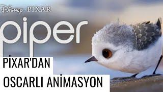 Pixar'dan Oscar Ödüllü Kısa Animasyon PİPER | Korkularını Yenmek Üzerine Kısa Film