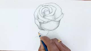 How to Draw Rose Flower || Rose drawing || Drawing for kids step by step|| #Rose #drawing