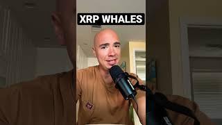 XRP ARMY! RIPPLE XRP WHALES HAVE BEEN BUSY.