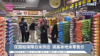 米商吁终止国稻垄断进口米  调涨本地白米售价【2023.09.03 八度空间华语新闻】